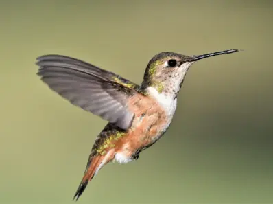 11 ting at tjekke, før du lægger penge i kuverten