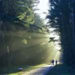 Hvordan arrangerer man en fælles pengegave uden at det ender i kaos?