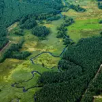 Krydsord Fakir Synonymer