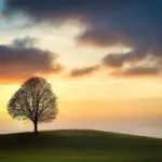 Telefonnummer 63105974 – skal jeg ringe tilbage?