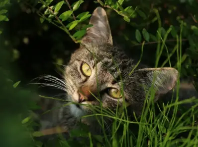 Gaveideer til strikkeentusiasten med eget garnlager