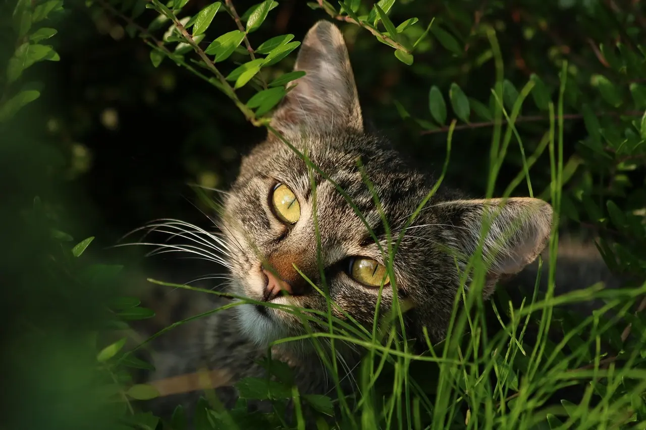 Gaveideer til strikkeentusiasten med eget garnlager