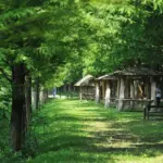 Er en pengegave passende til en polterabend – og hvor meget giver man?