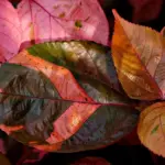 Send en pengegave til udlandet uden unødige gebyrer