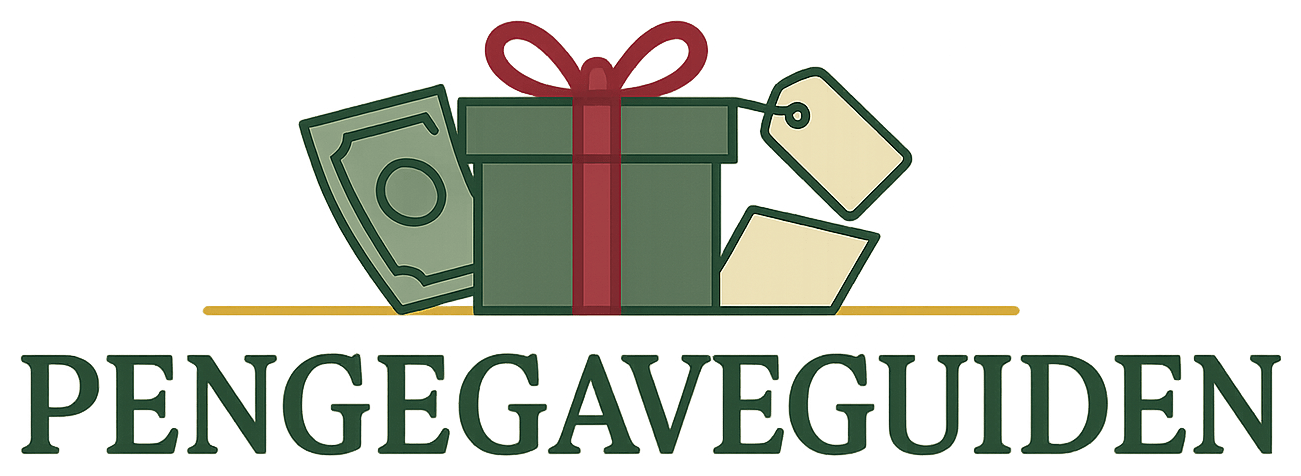 Pengegaveguiden